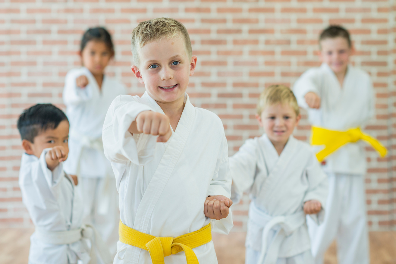 Showing A Taekwondo Pose